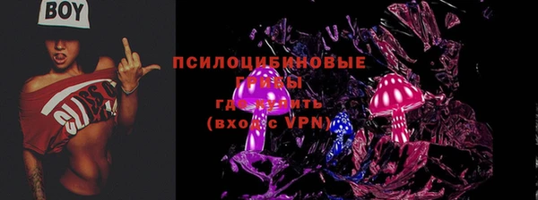 круглые Бородино