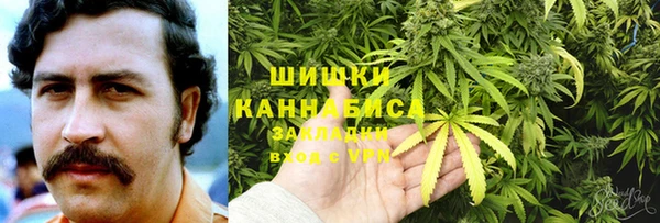 дмт Бронницы