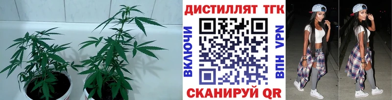 Купить где  Корсаков  ТГК вейп с тгк 