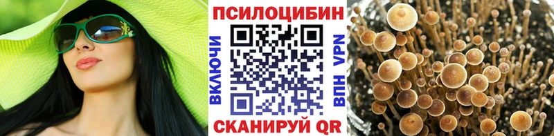Купить где  Корсаков  Галлюциногенные грибы MAGIC MUSHROOMS 
